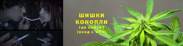 стафф Краснотурьинск