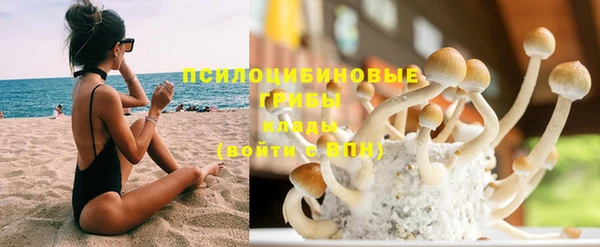 стафф Краснотурьинск